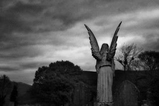 6c6d6-4115126397_4da2ecbc1c_n