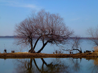 4e280-6528262901_f1dde610bc_n